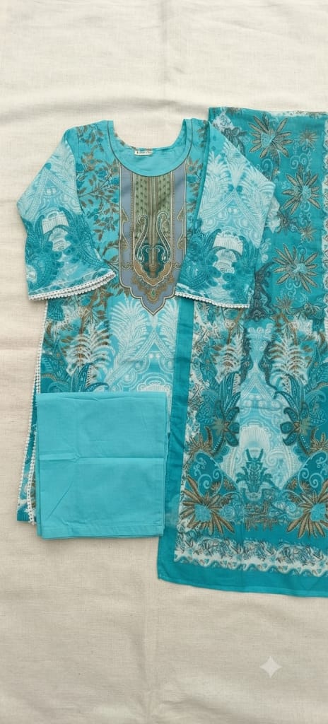 Pkistani Suit P4004