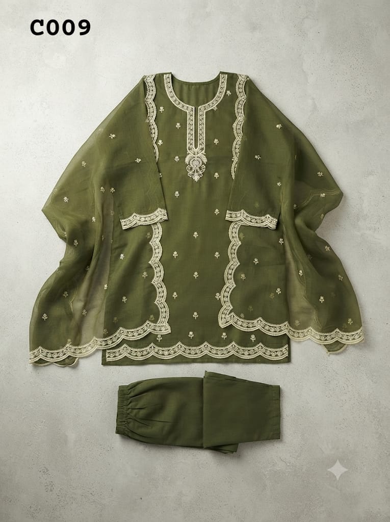 Salwar suit C009