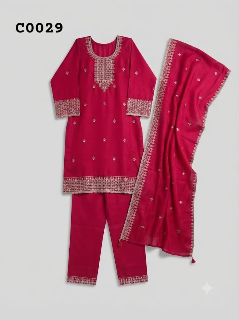 Salwar suit C0029