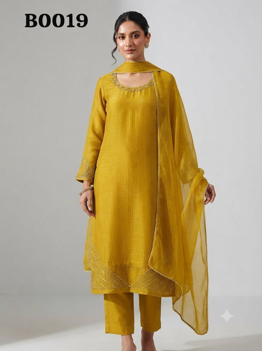 Salwar suit B0019