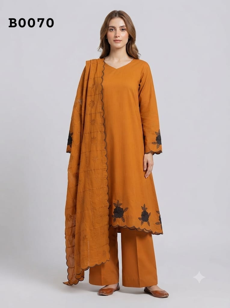 Salwar suit B0070