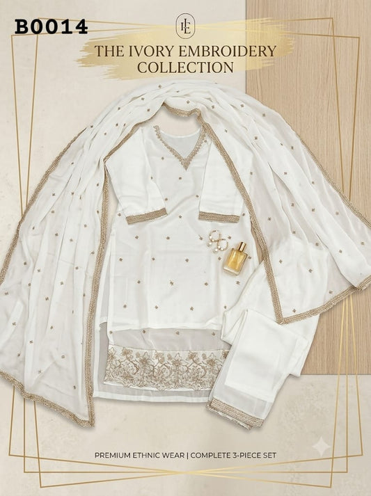 Salwar suit B0014