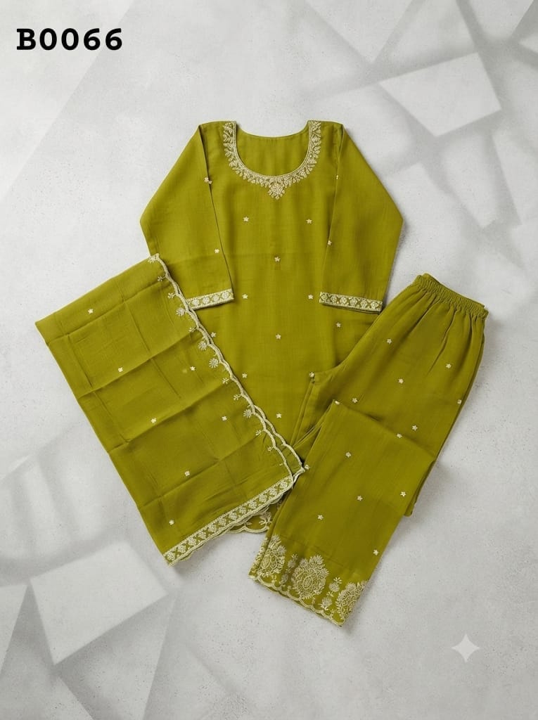 Salwar suit B0066