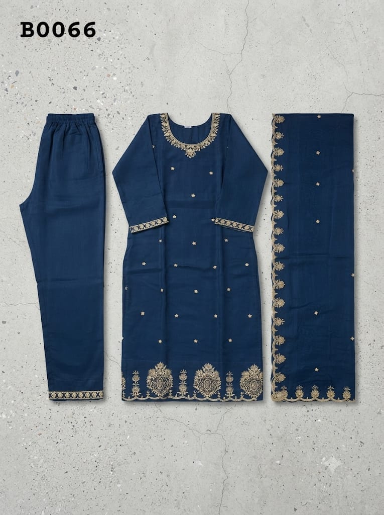 Salwar suit B0066