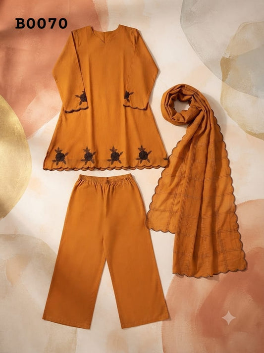 Salwar suit B0070