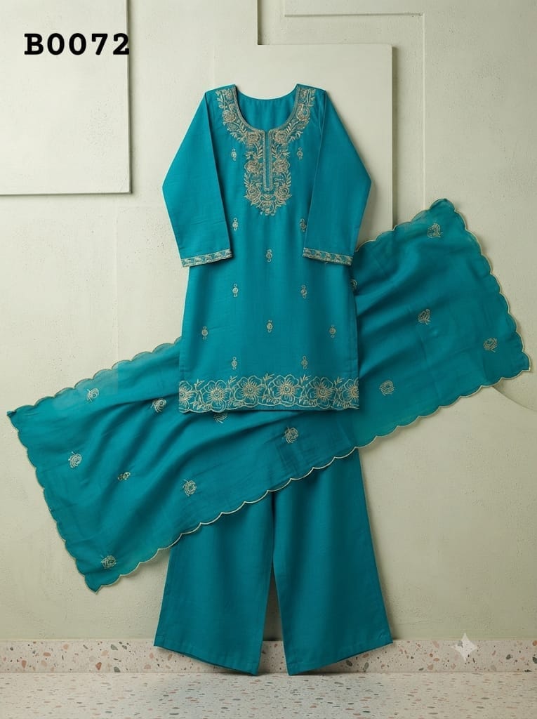 Salwar suit B0072