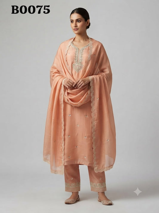 Salwar suit B0075