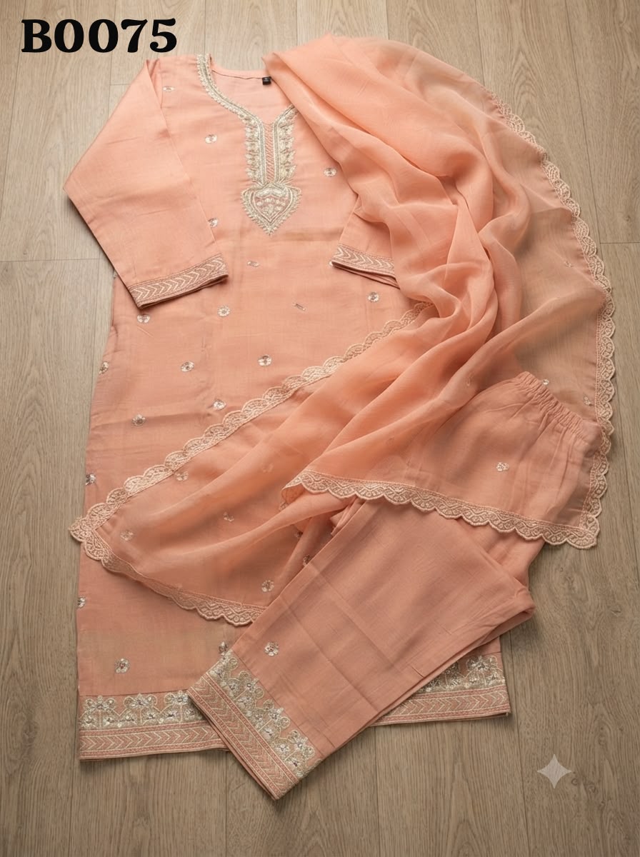 Salwar suit B0075
