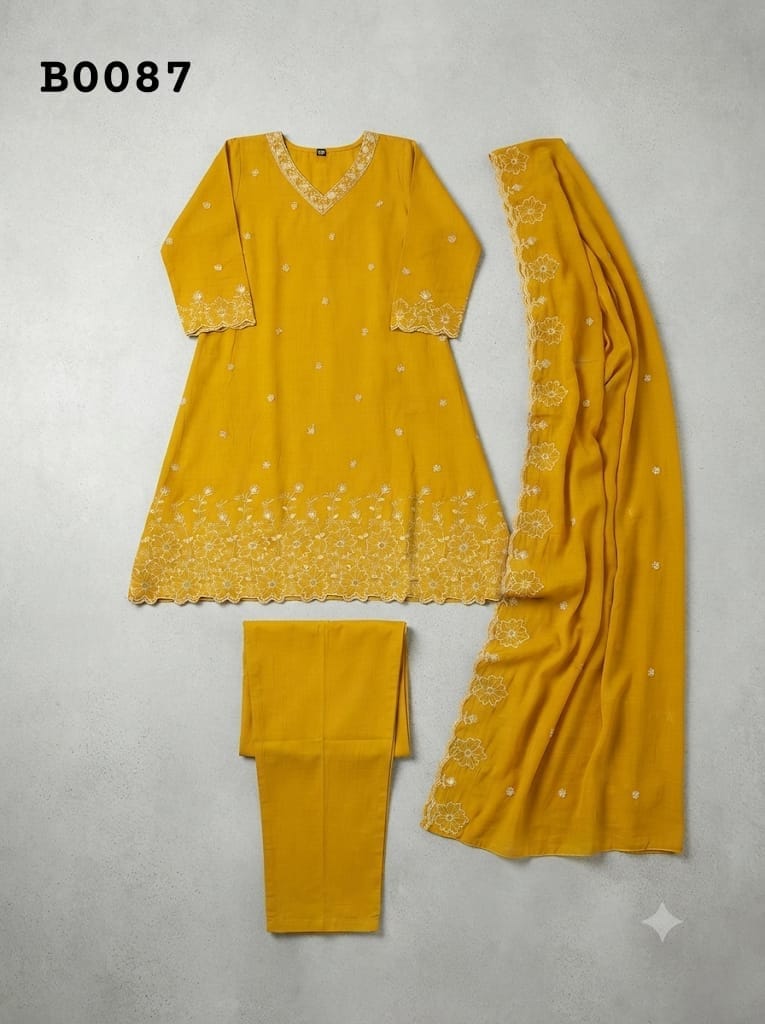 Anarkali suit B0087