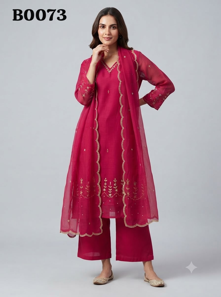 Salwar suit B0073