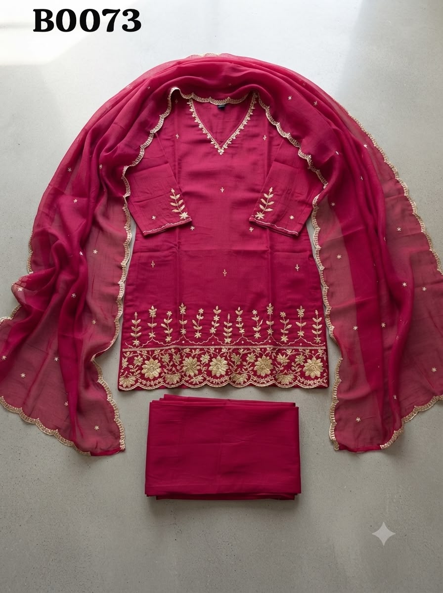 Salwar suit B0073