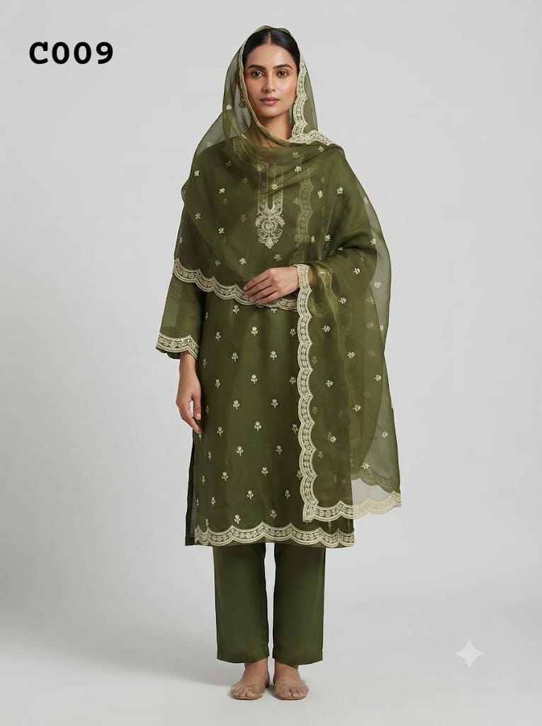 Salwar suit C009
