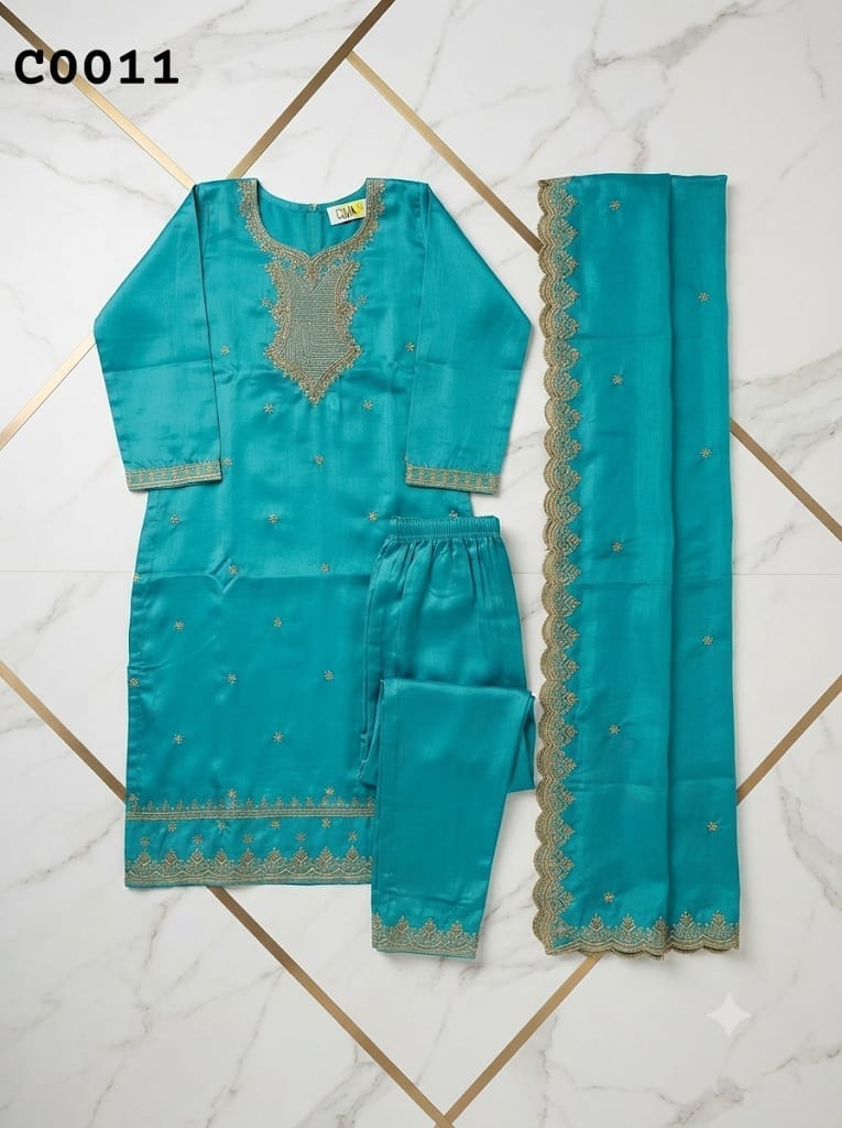 Salwar suit C0011