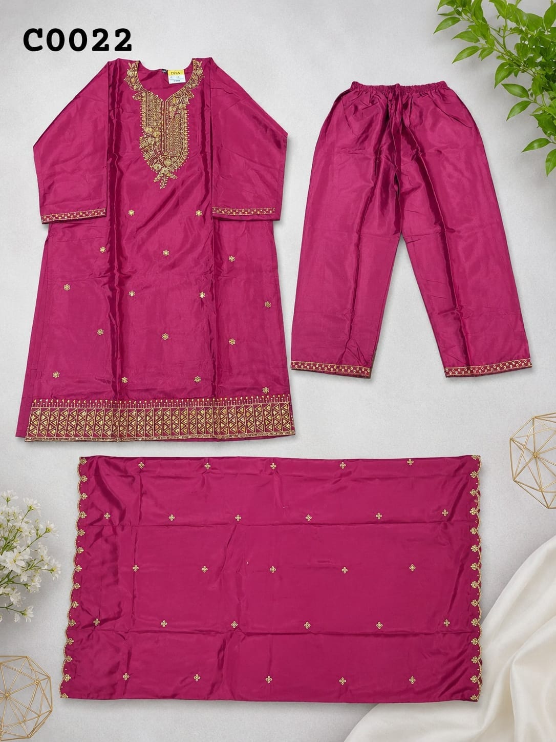 Salwar suit C0022