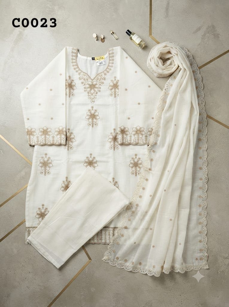 Salwar suit C0023