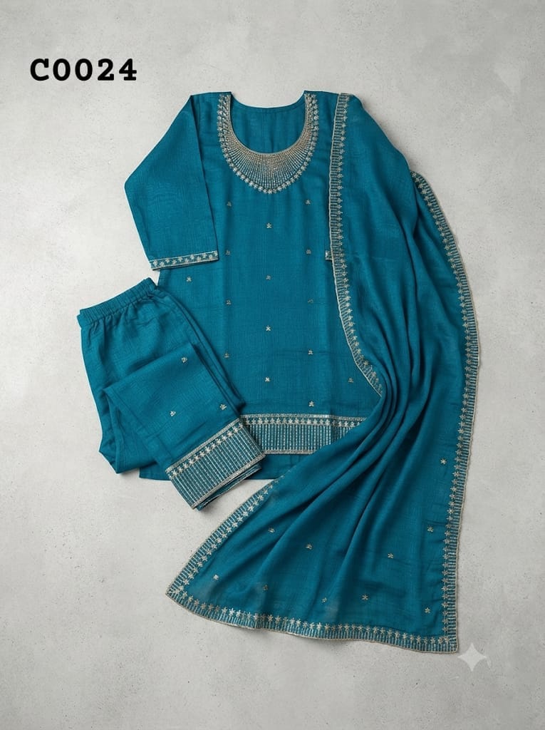 Salwar suit C0024
