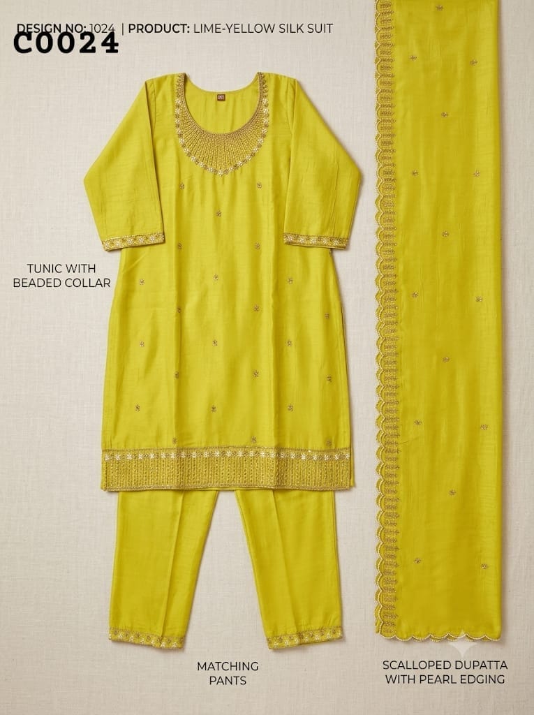 Salwar suit C0024