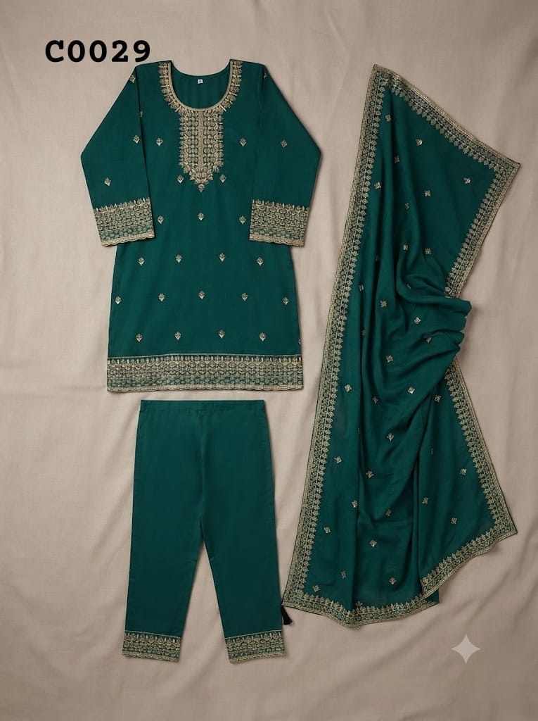Salwar suit C0029