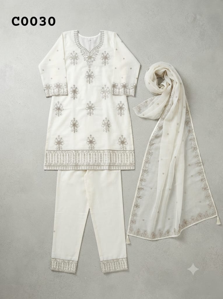 Salwar suit C0030