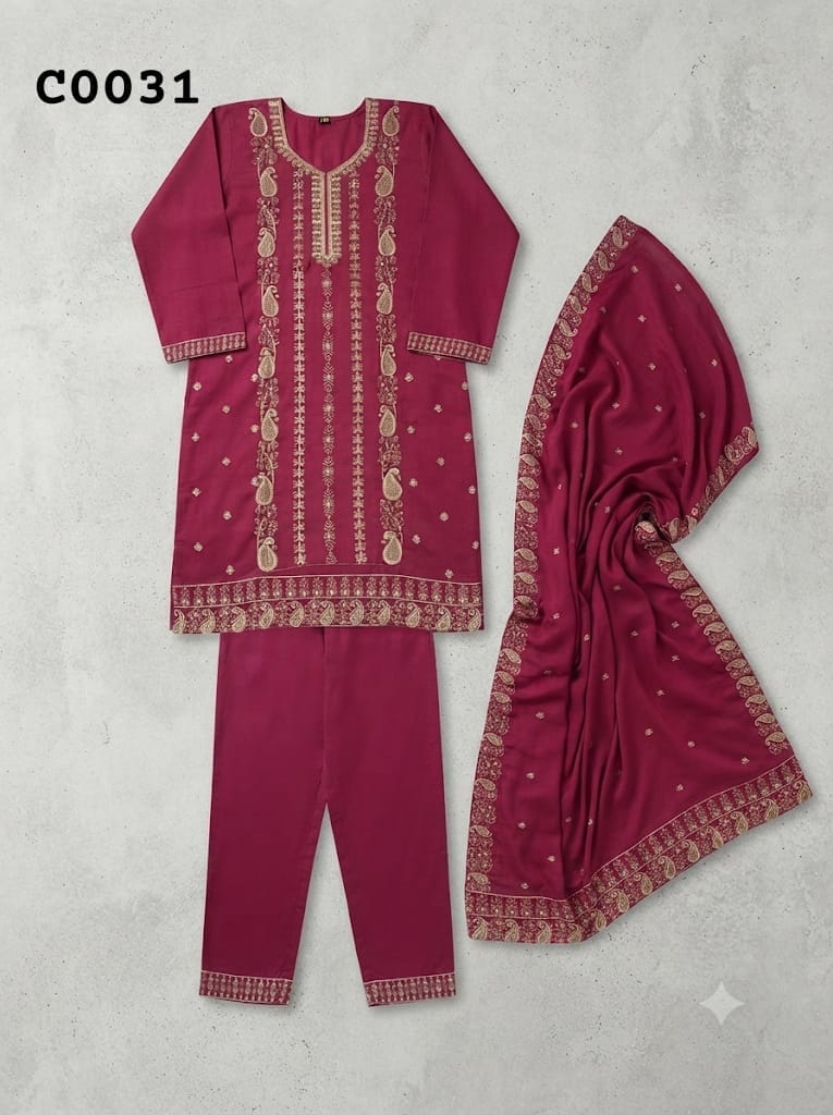 Salwar suit C0031