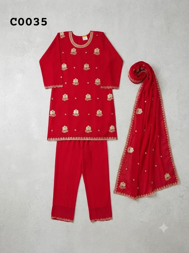 Salwar suit C0035