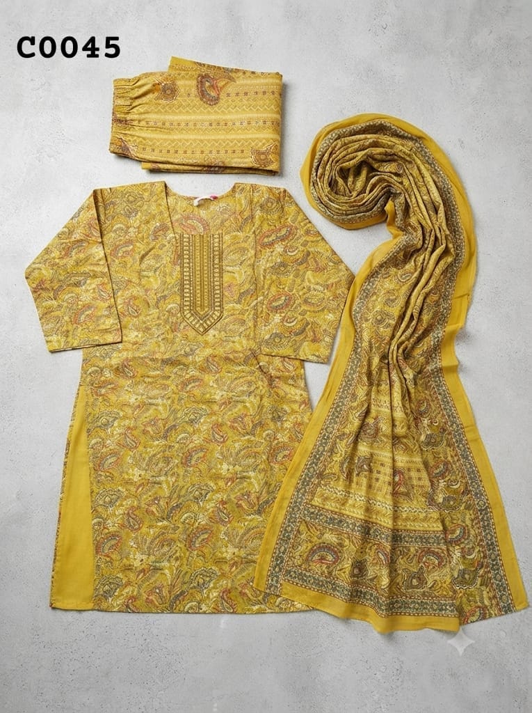 Pakistani suit C0045