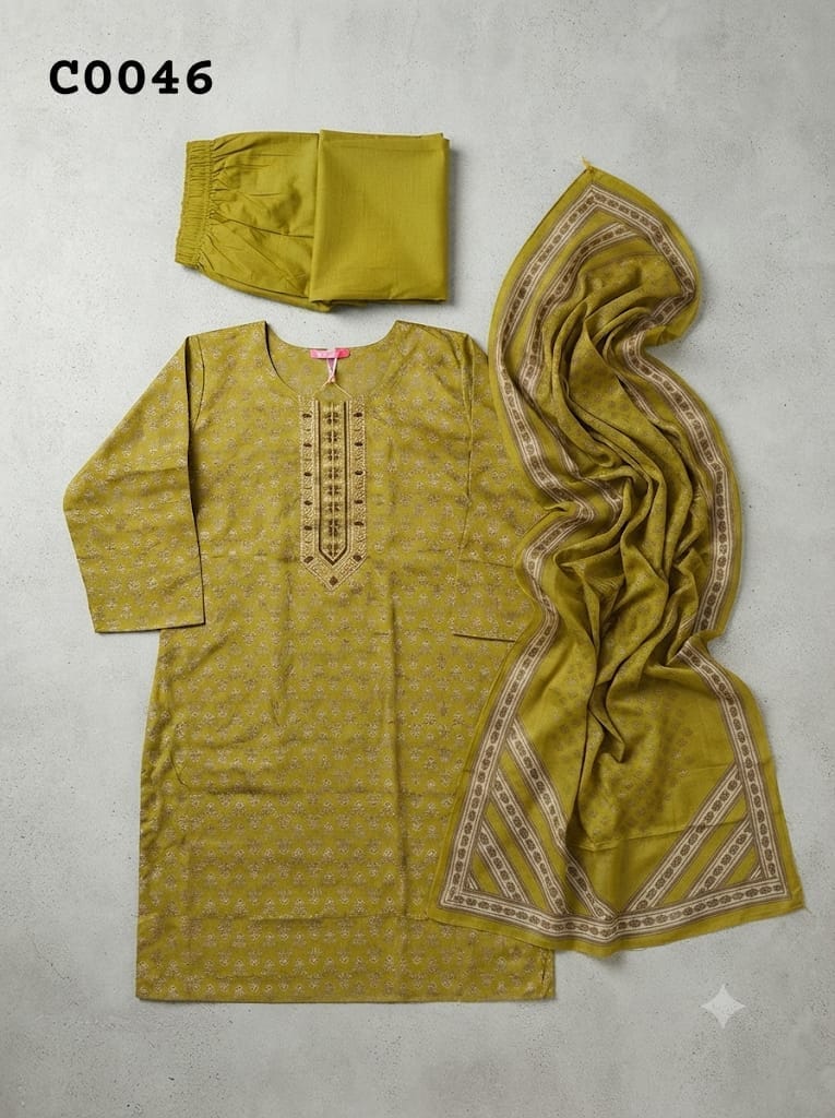 Pakistani suit C0046