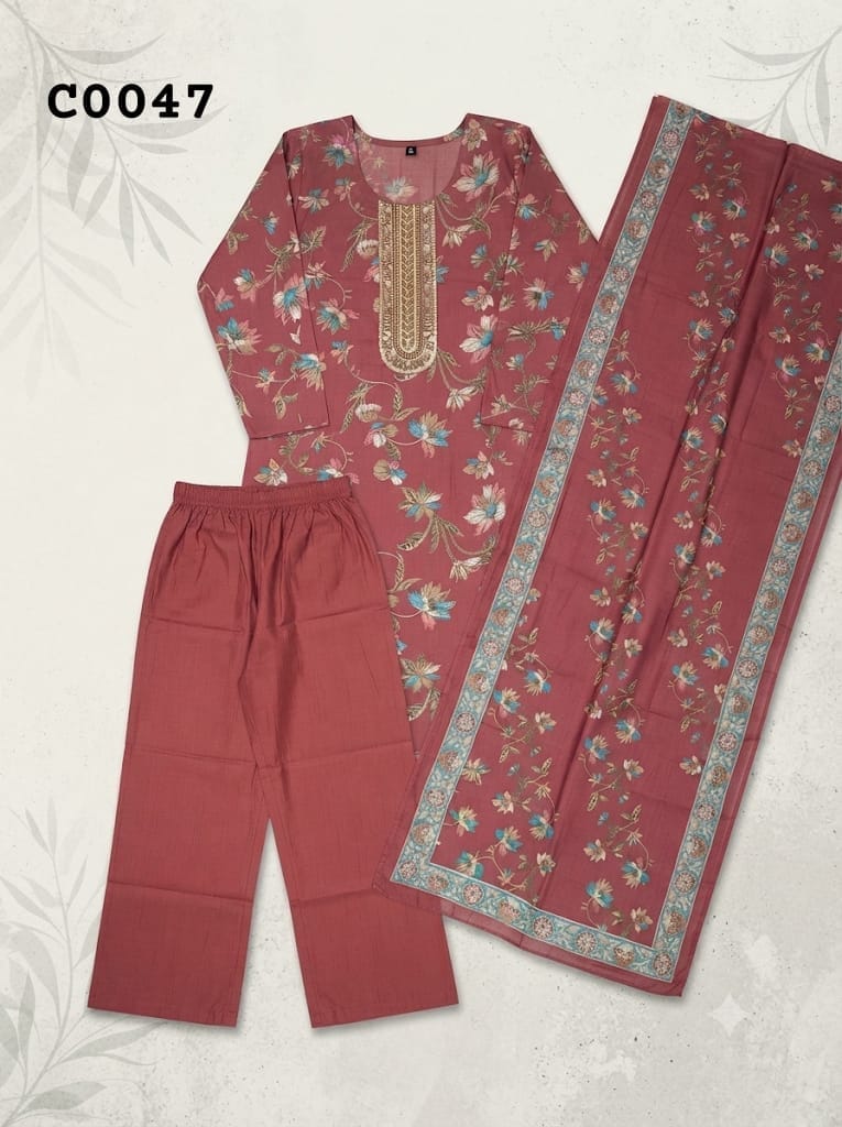 Pakistani suit C0047