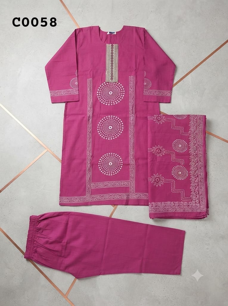 Pakistani suit C0058