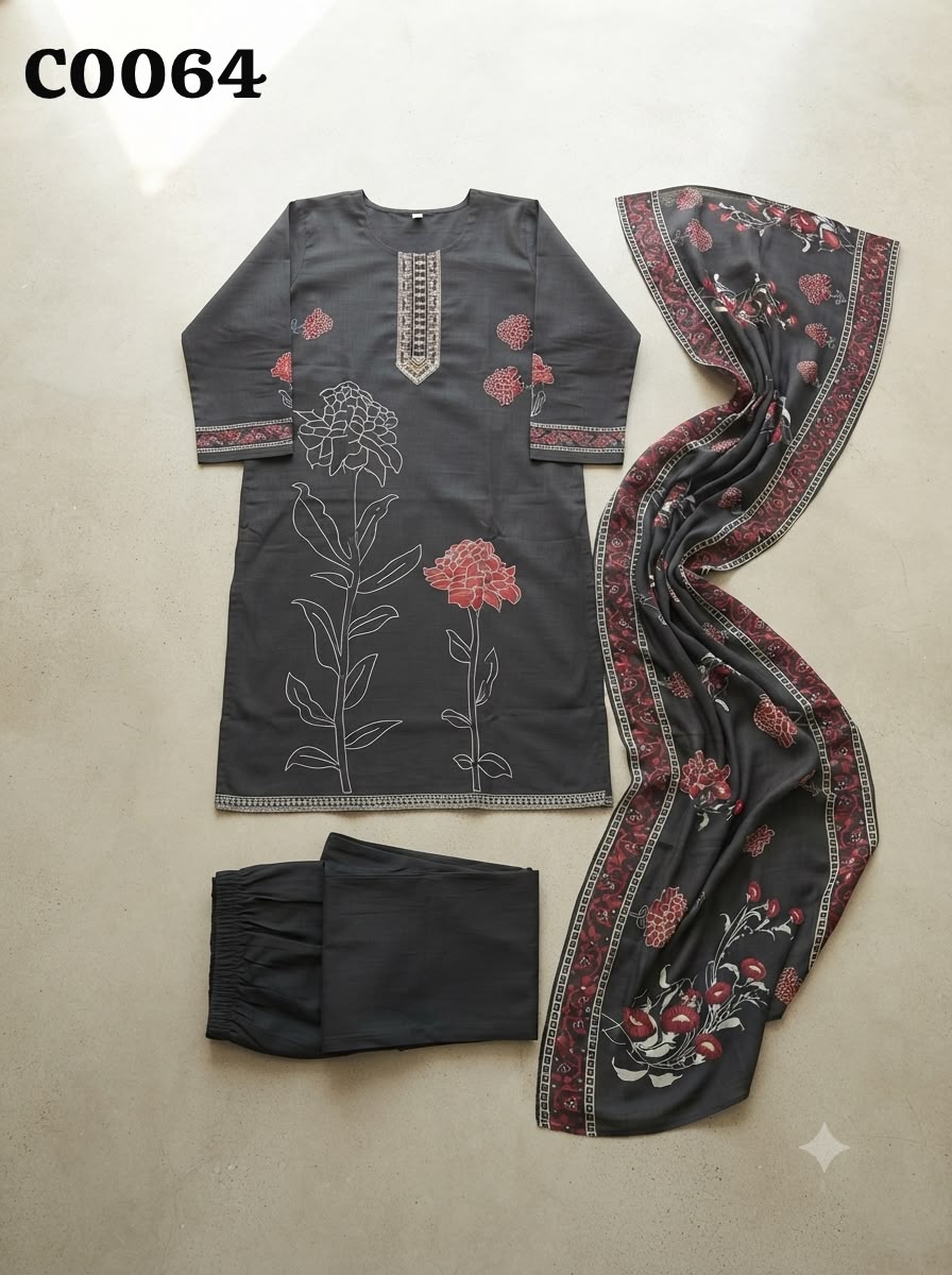 Pakistani suit C0064