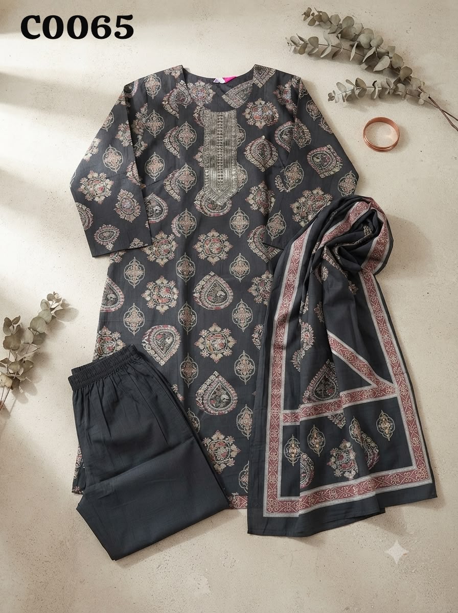 Pakistani suit C0065