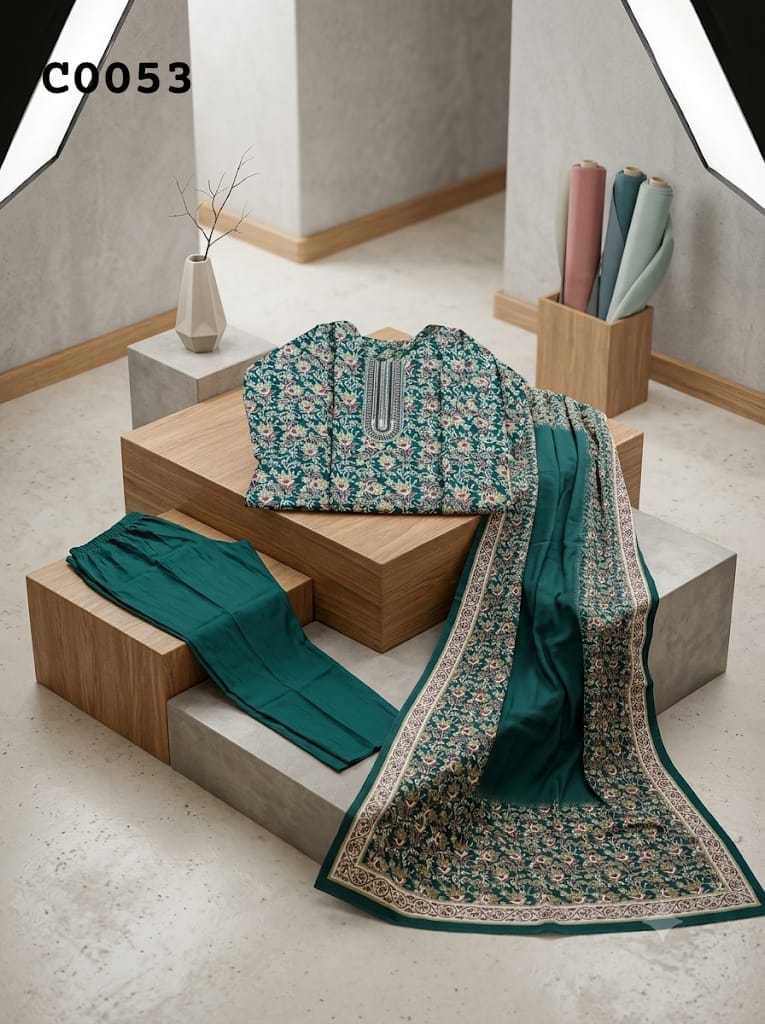 Pakistani suit C0053