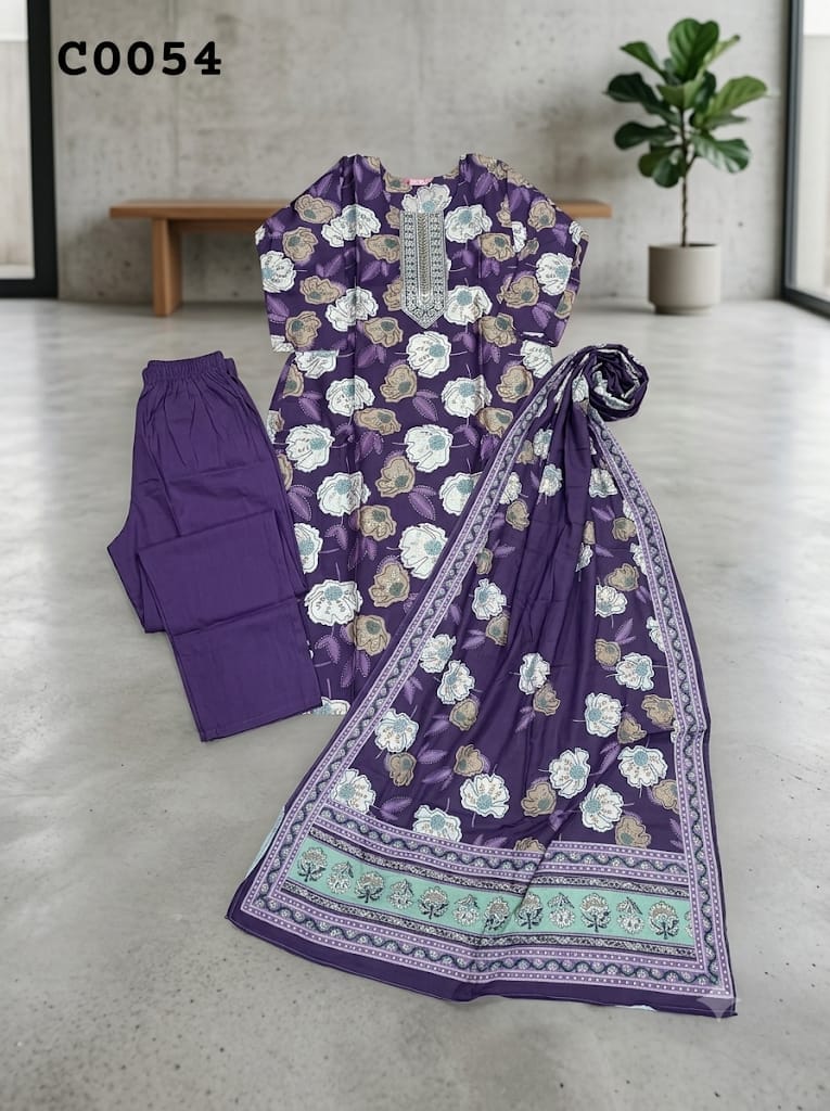Pakistani suit C0054